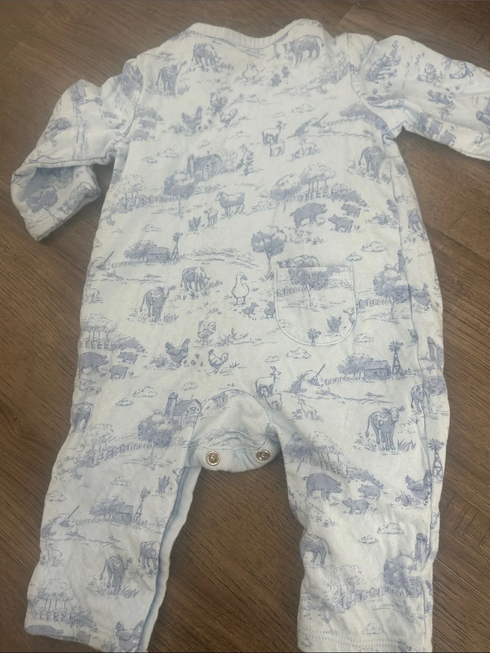 Janie and Jack Light Blue Animal Print Footie